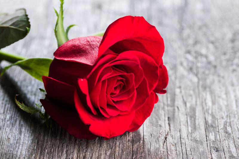 情人节红玫瑰躺在一张木桌上