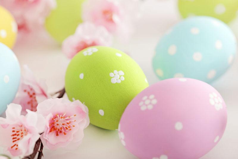白色背景上的复活节彩蛋和粉色桃花
