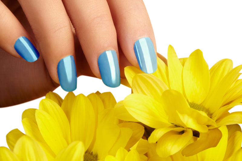 蓝色指甲的女人手抚摸花朵
