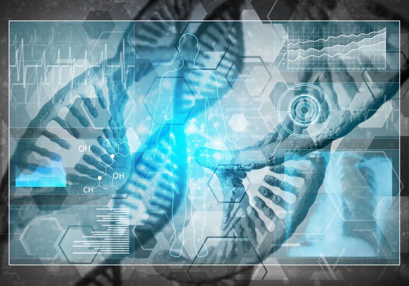 人体三维绘制DNA研究概念