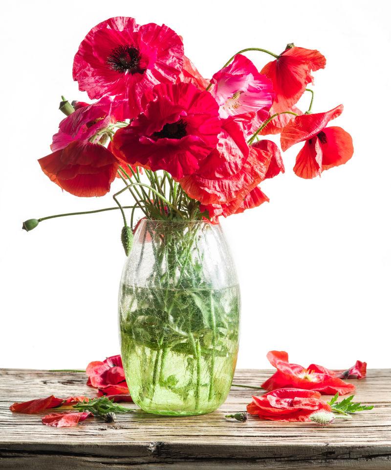 花瓶里的红色鲜花