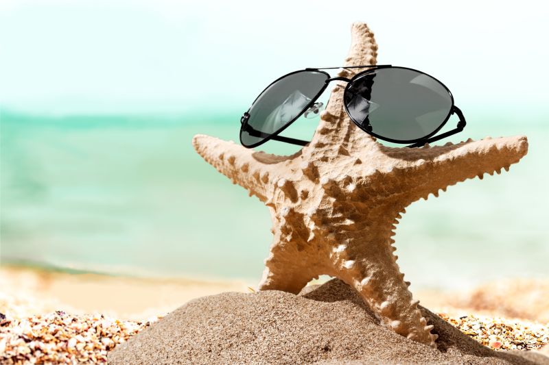 沙滩上的海星贝壳带着太阳镜