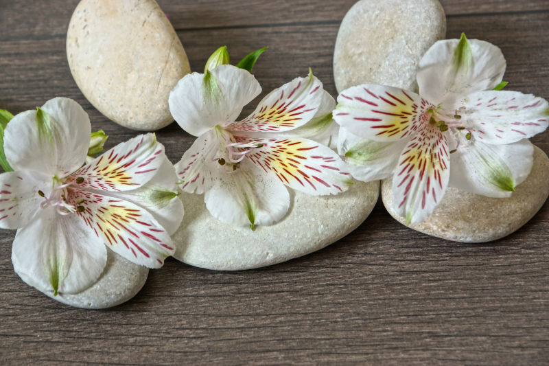 鹅软石与白色花朵