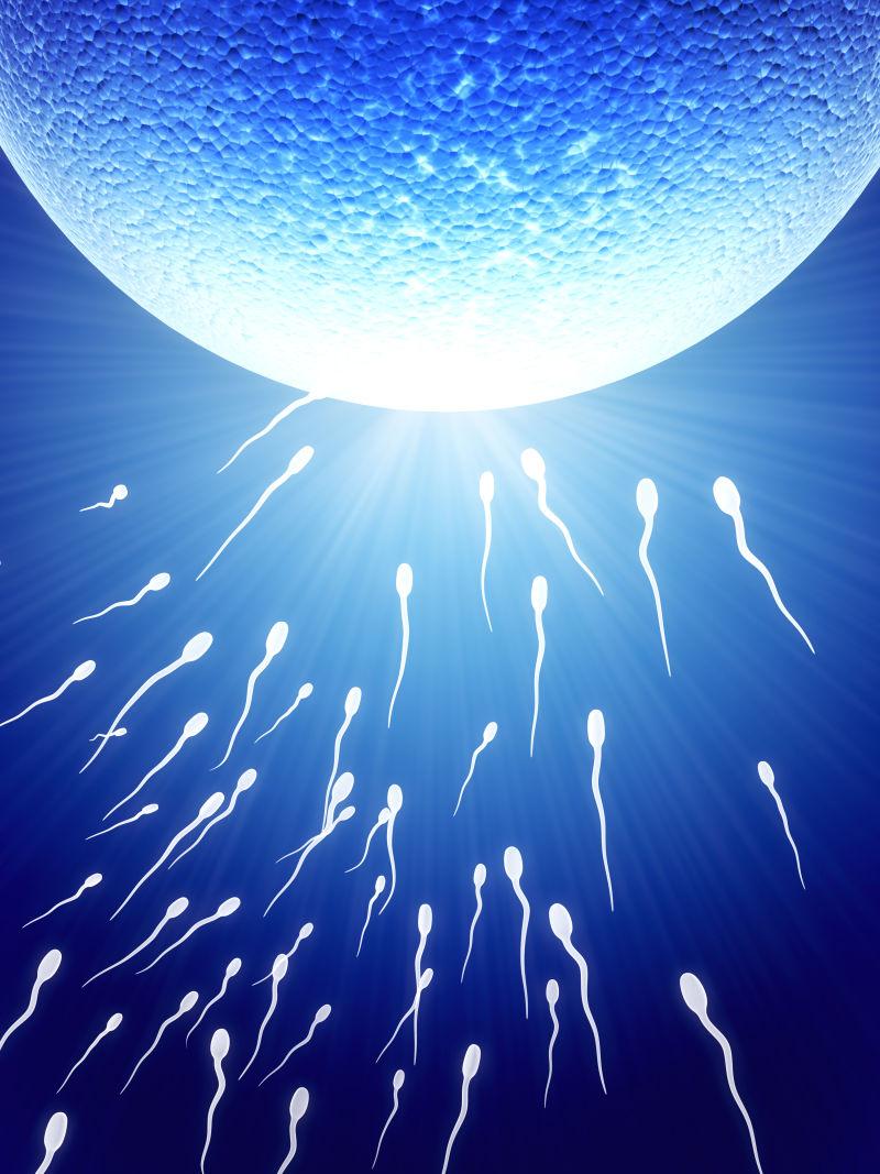 白色的精子群向蓝色的卵子冲去