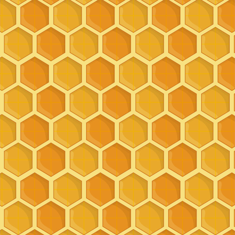 矢量完整的蜂巢插图