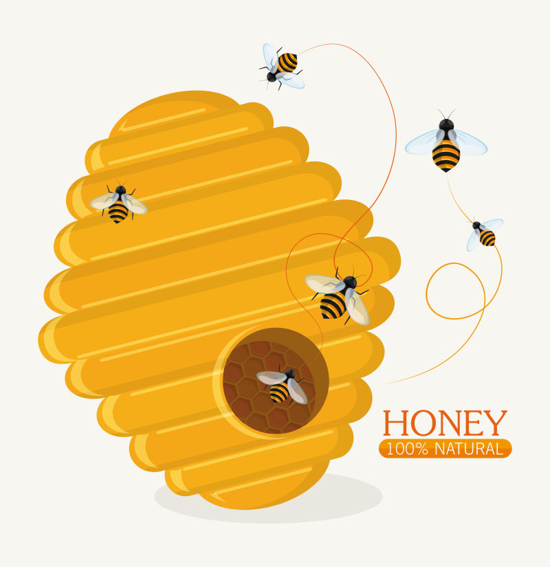 创意矢量辛勤忙碌的蜜蜂插图