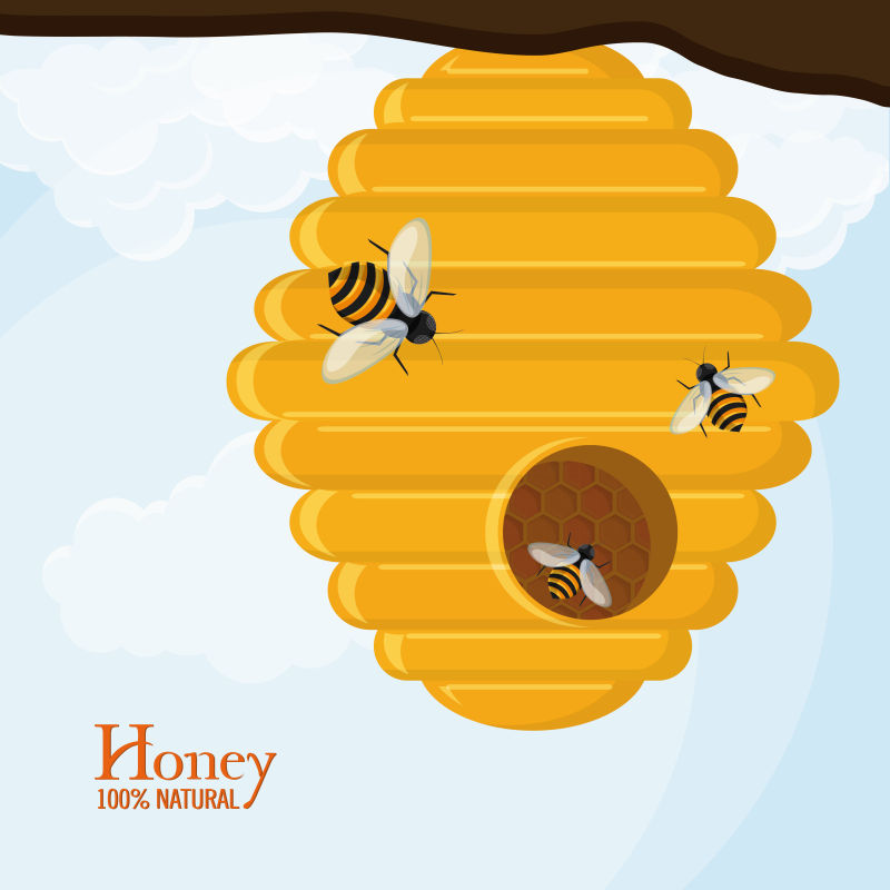 创意矢量正在采蜜的蜜蜂插图