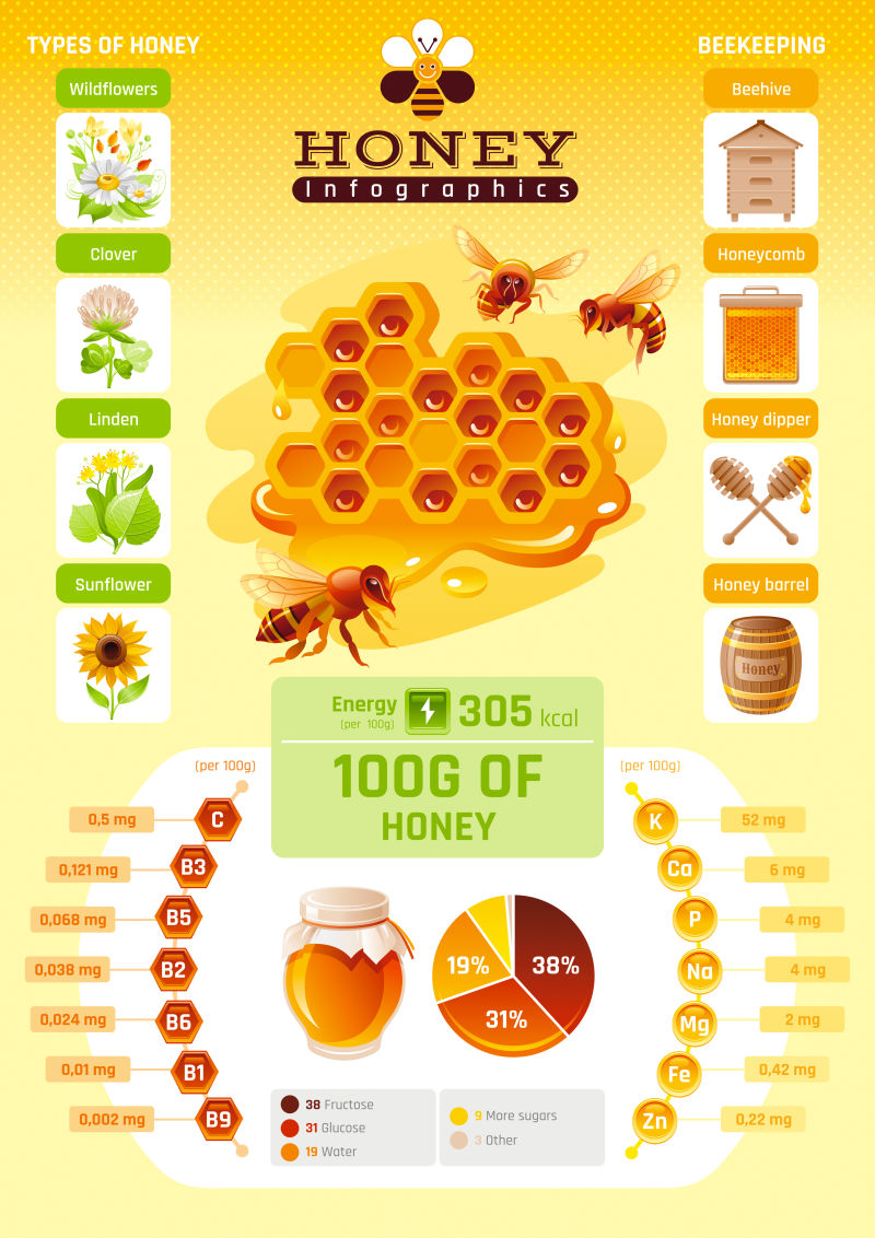 创意矢量蜂蜜信息的平面图表设计