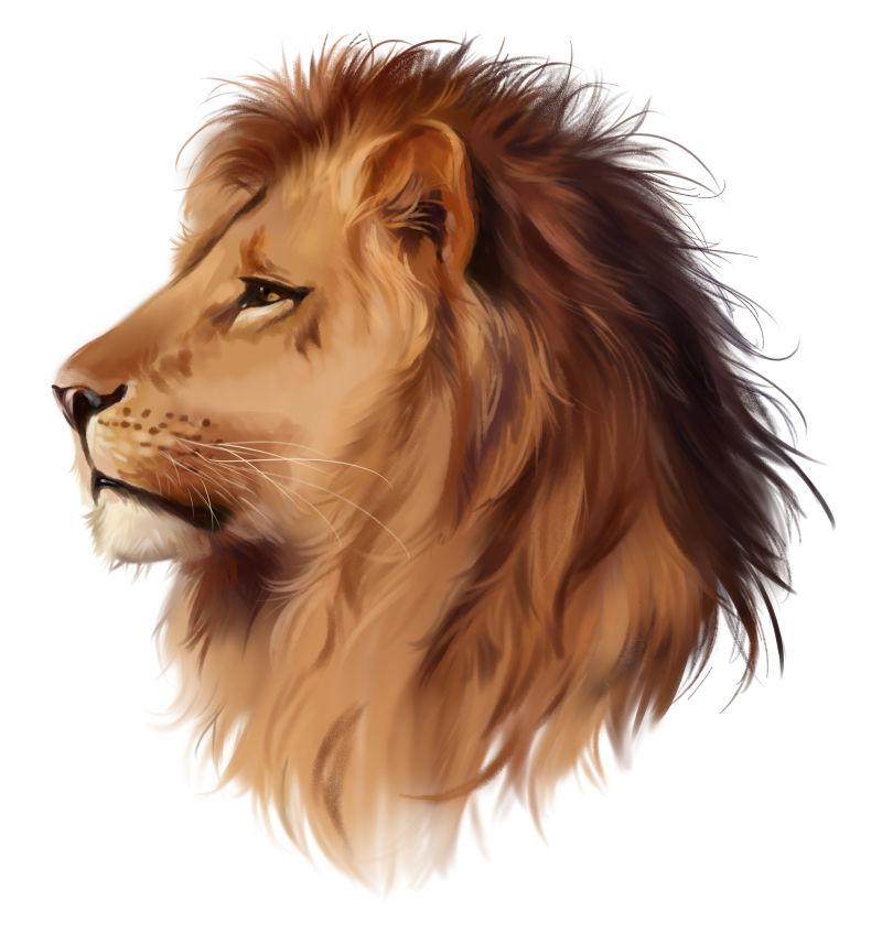 狮子头水彩画
