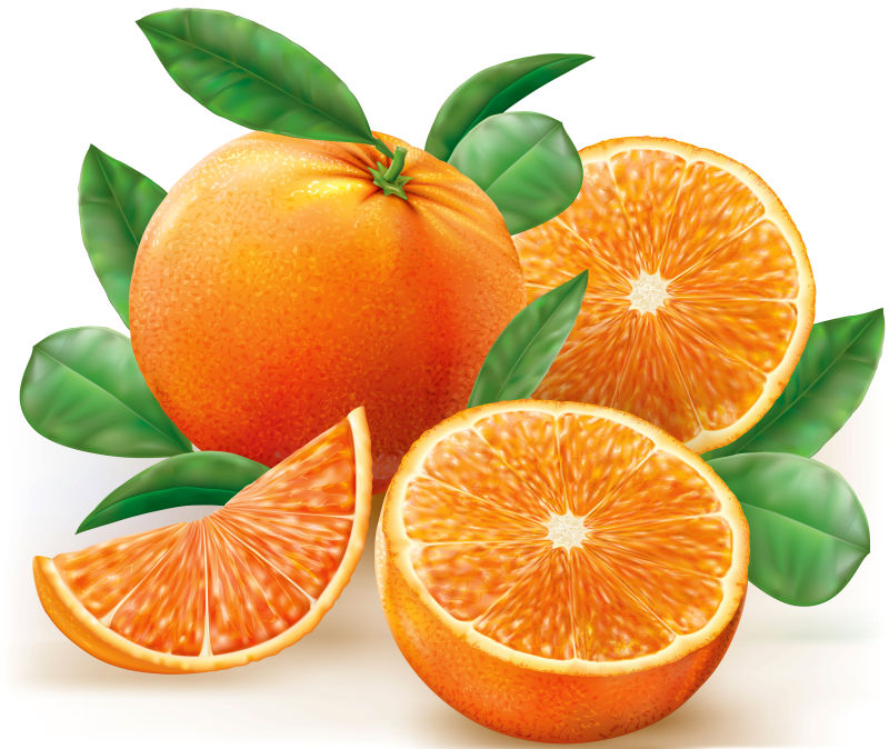 抽象矢量柑橘类水果的创意插图