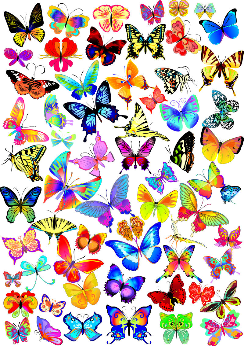 抽象彩色不同风格的彩色蝴蝶插图