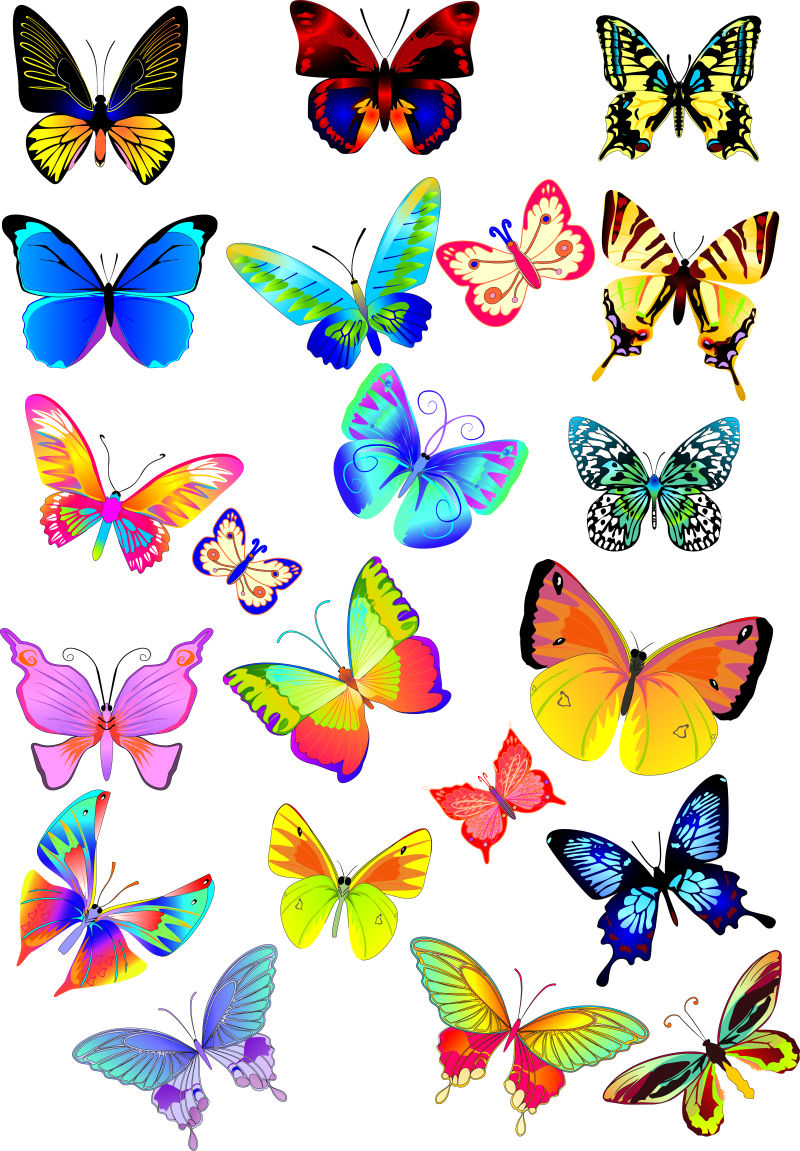 抽象矢量彩色的蝴蝶设计插图