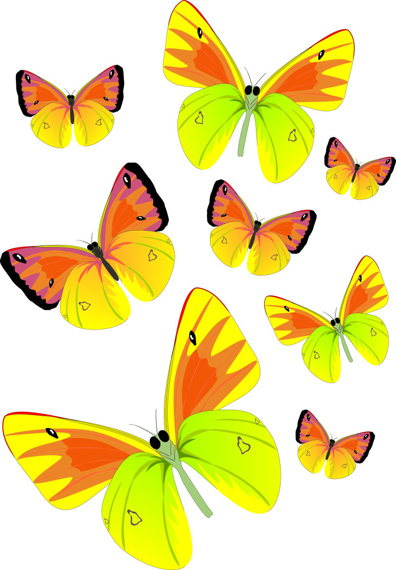 矢量漂亮的蝴蝶设计元素