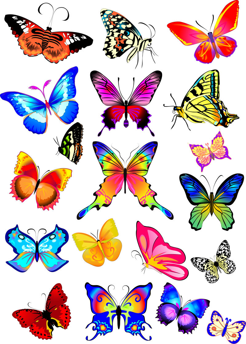 矢量色彩斑斓的蝴蝶设计元素