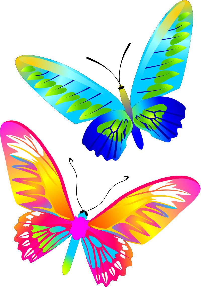 抽象彩色鲜艳的矢量蝴蝶插图