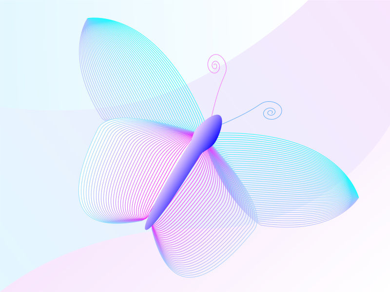 抽象线条风格的矢量蝴蝶插图