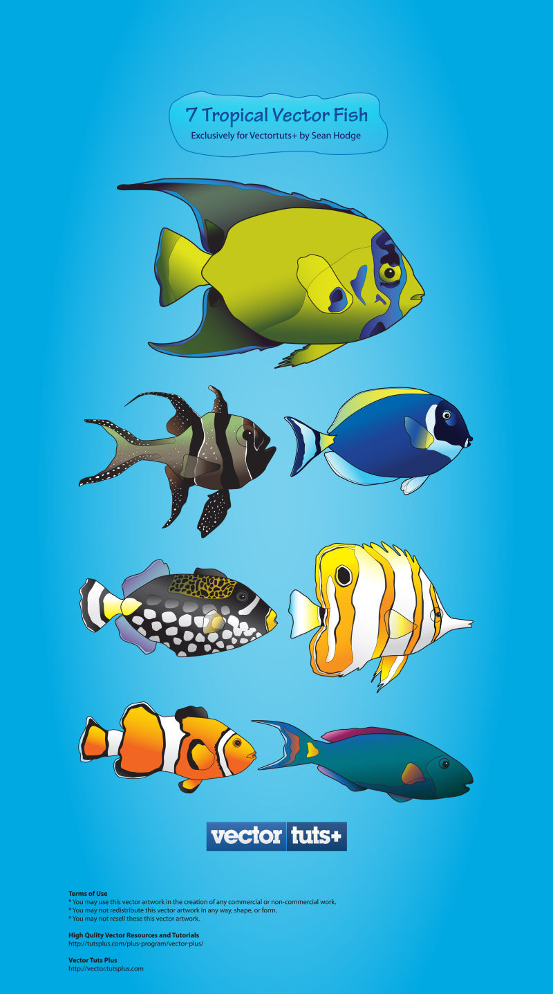 不同种类的鱼矢量卡通图