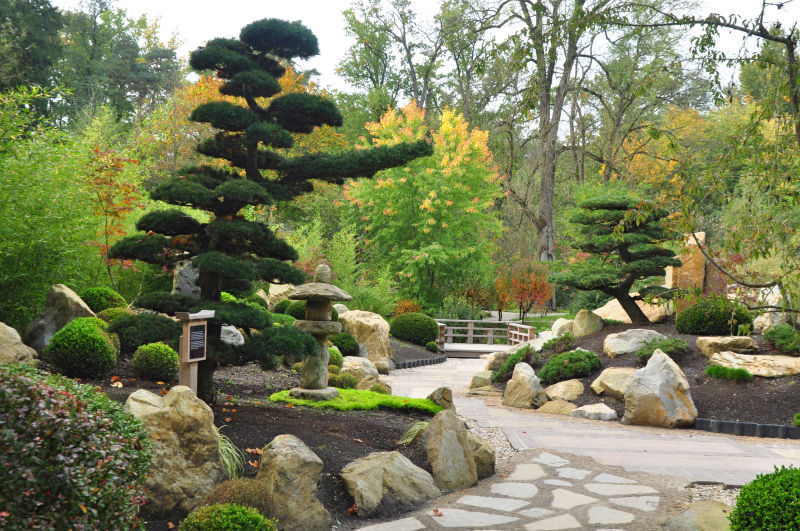 日本花园园林的艺术植物和石头