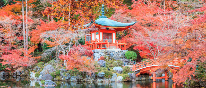 日本寺庙中的红色园林景色