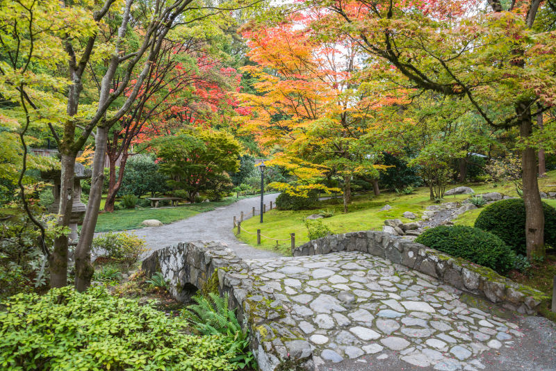 落叶石桥日本花园
