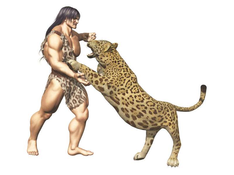 毛皮腰围中的肌肉泰山或穴居人与白色的大型野生猫摔跤