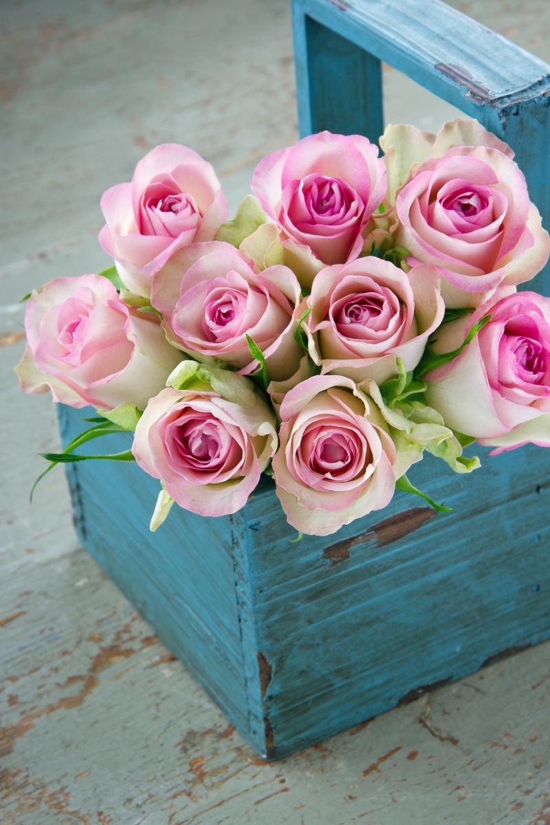 蓝色木箱里的粉色玫瑰花