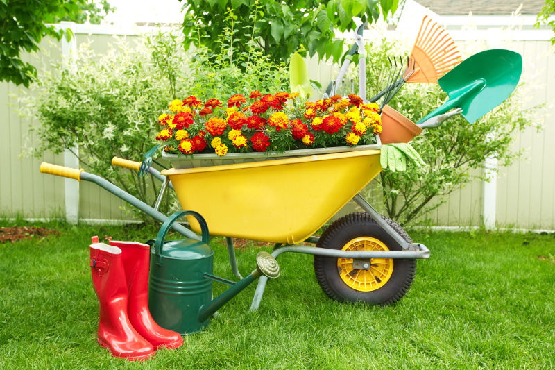花园里装着园艺工具和鲜花的手推车