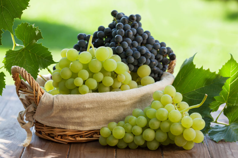 花园桌上篮子里的红葡萄和白葡萄