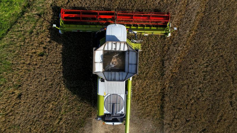 鸟瞰图联合收割机收获小麦