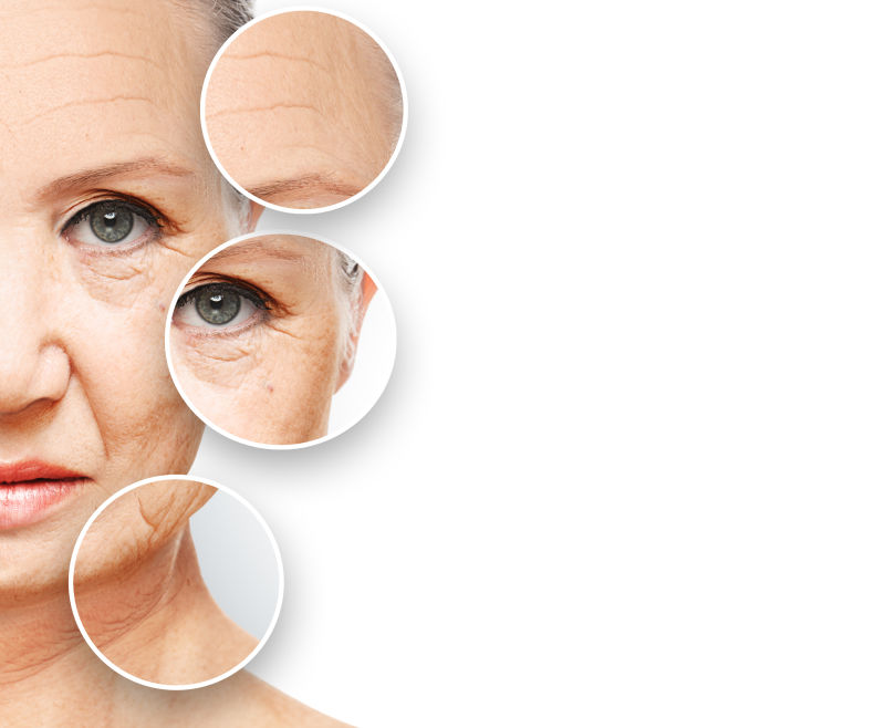 老年人皮肤老化的过程