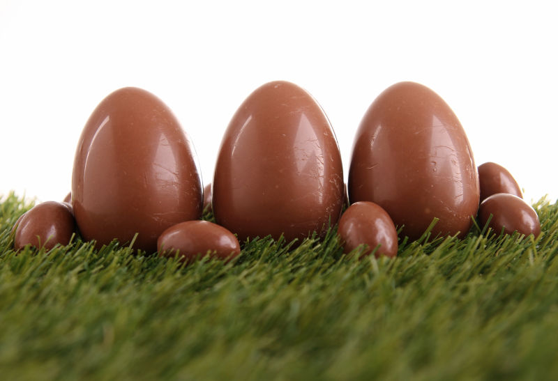 草坪上的巧克力蛋