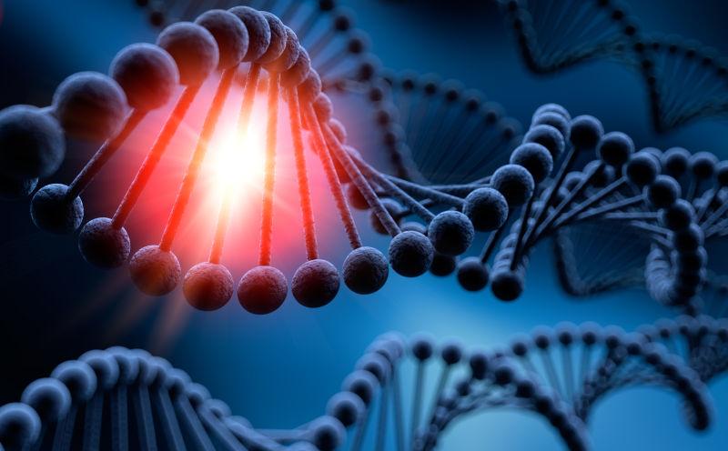 红光下的DNA链
