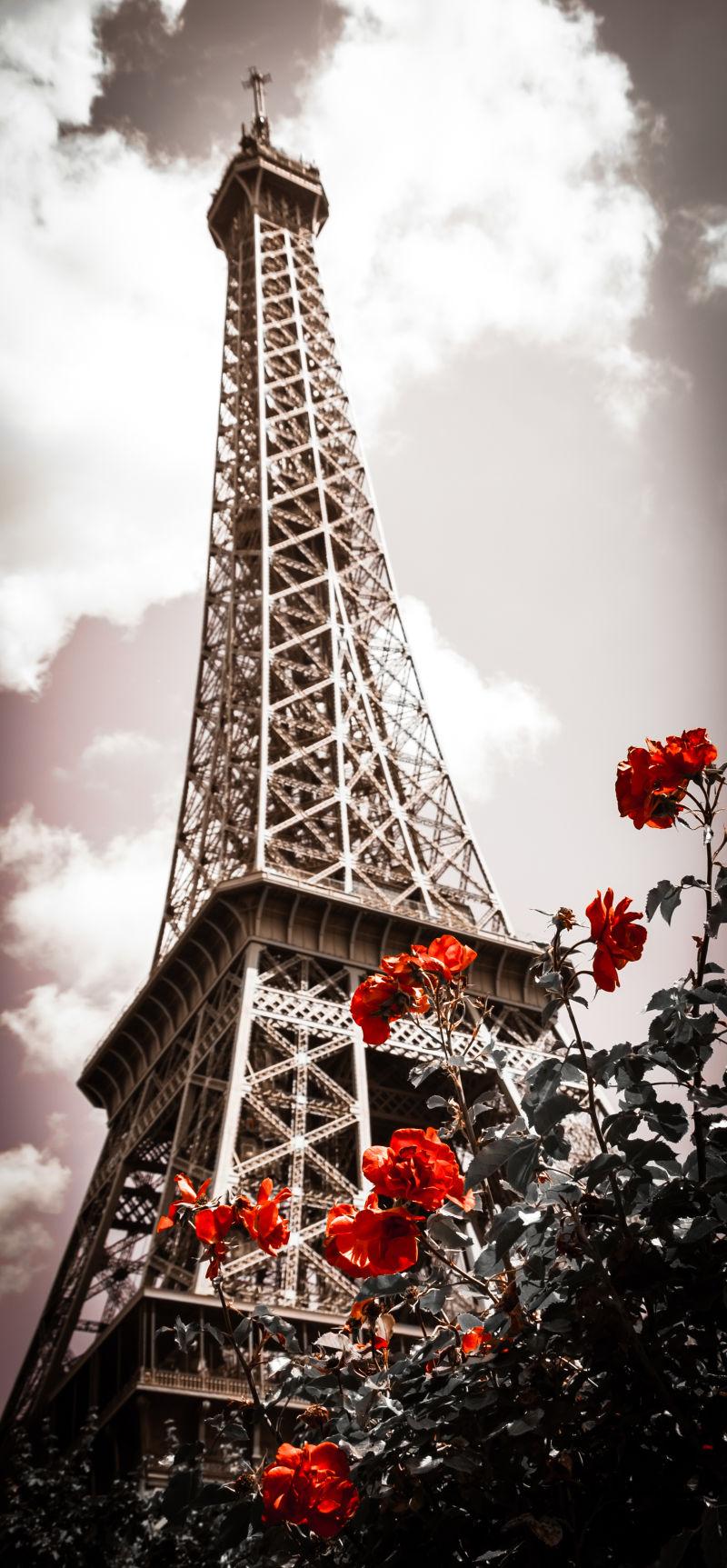 埃菲尔铁塔和红玫瑰灌木