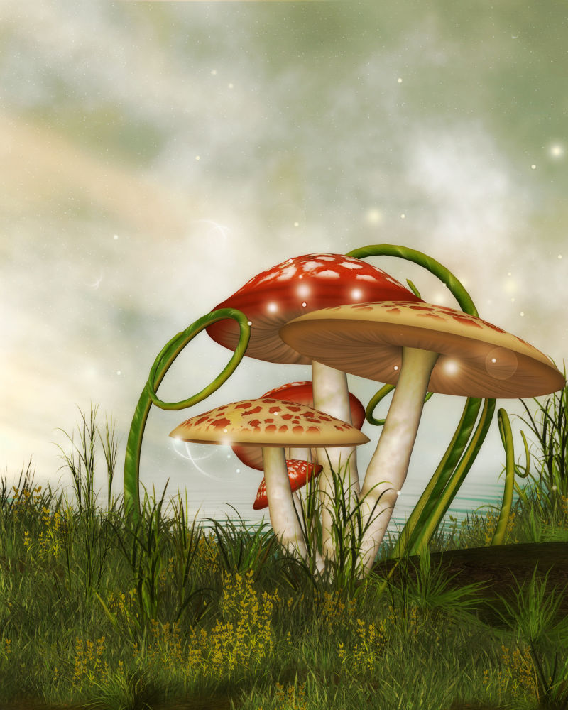 天空下草地上的蘑菇魔幻场景