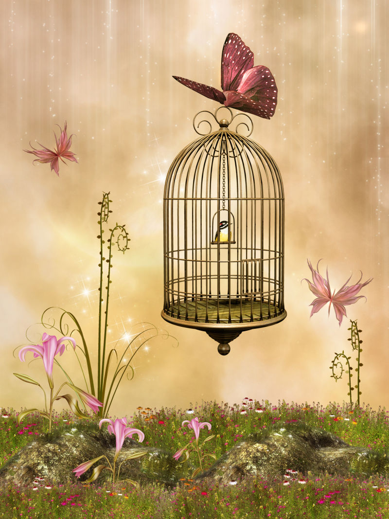 蝴蝶叼着笼中的小鸟魔幻场景