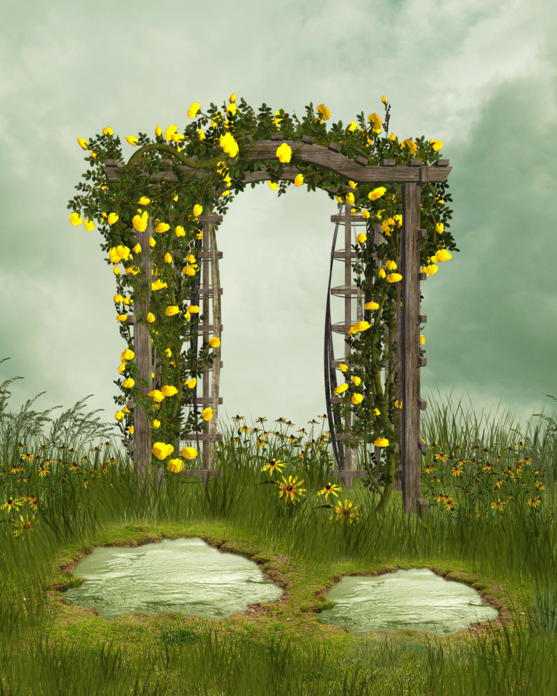 鲜花拱门和水坑魔幻场景