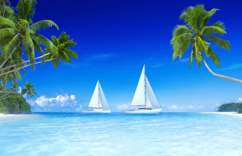 椰树与海面上的帆船