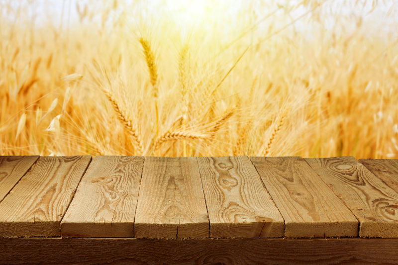 小麦背景上的小麦