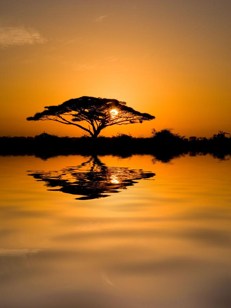 美丽的非洲日出映照在湖面上