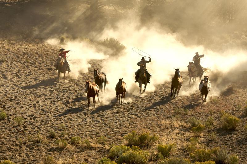 两个牛仔在沙漠中奔跑和骑马