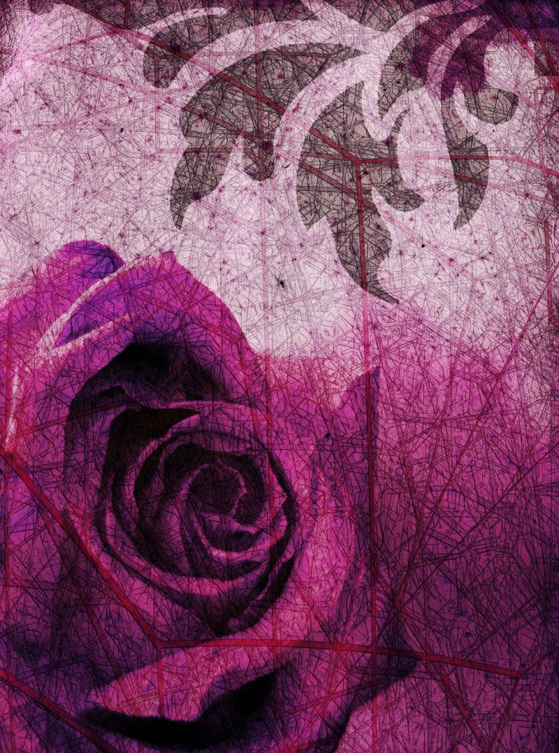 紫玫瑰花纹背景