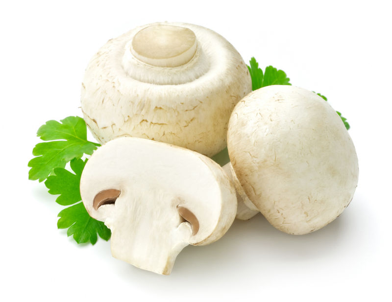 白色背景前的蘑菇