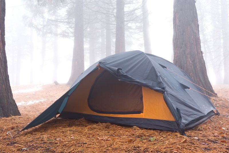 一个早晨迷雾的森林帐篷