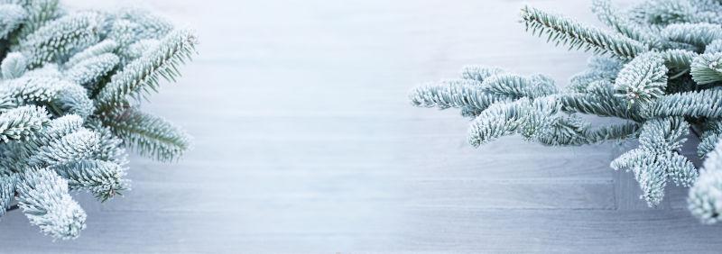 冬灰色的木桌上霜覆盖的枞树枝