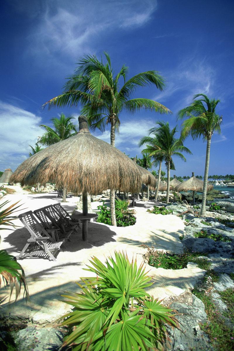 热带岛屿上的海滩的清澈的海水与沙滩和棕榈树