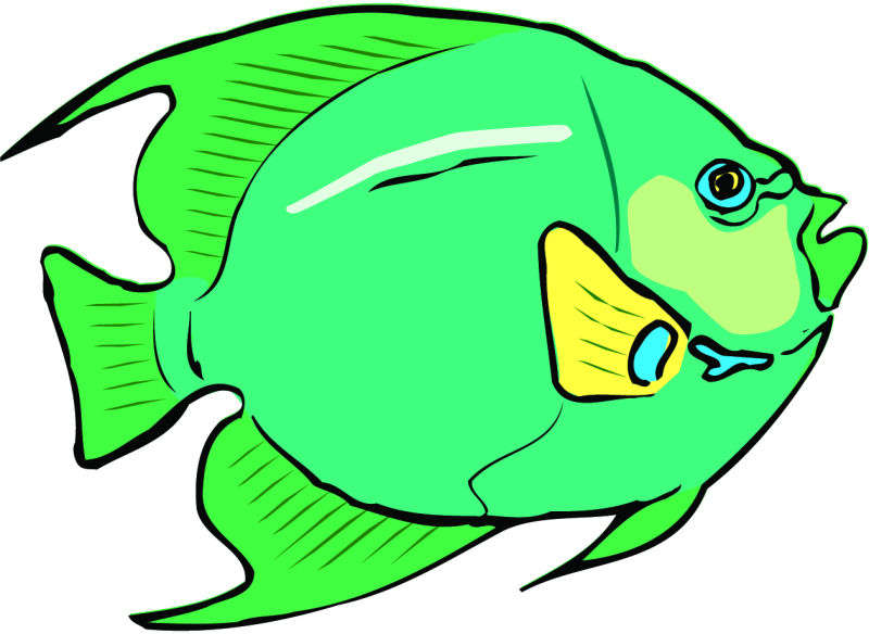 碧绿色的鱼矢量图