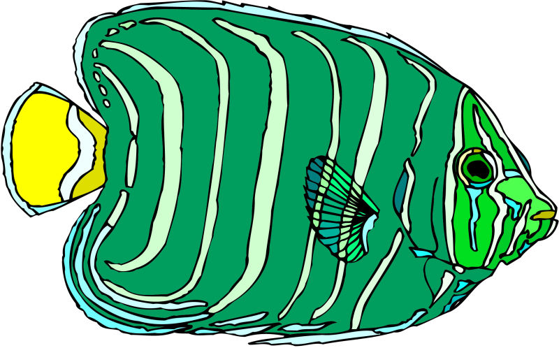 海洋鱼类矢量卡通图