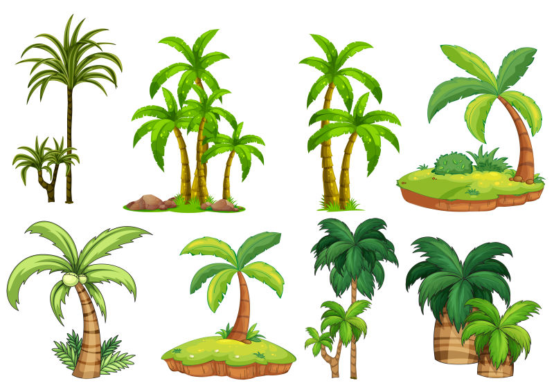 矢量不同生长状态的棕榈树
