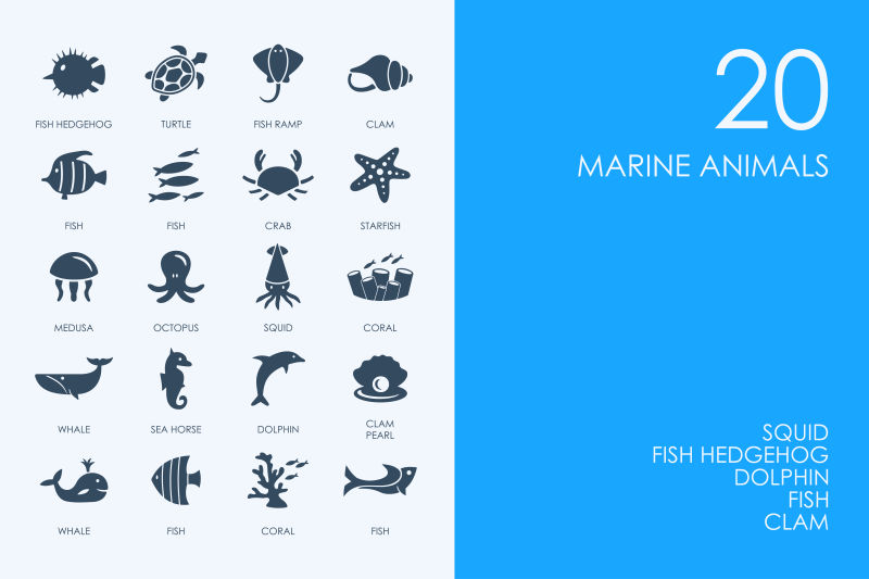 创意矢量海洋动物图标设计