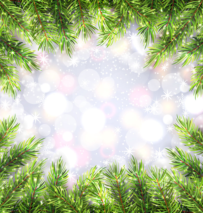 圣诞背景与杉树树枝框矢量